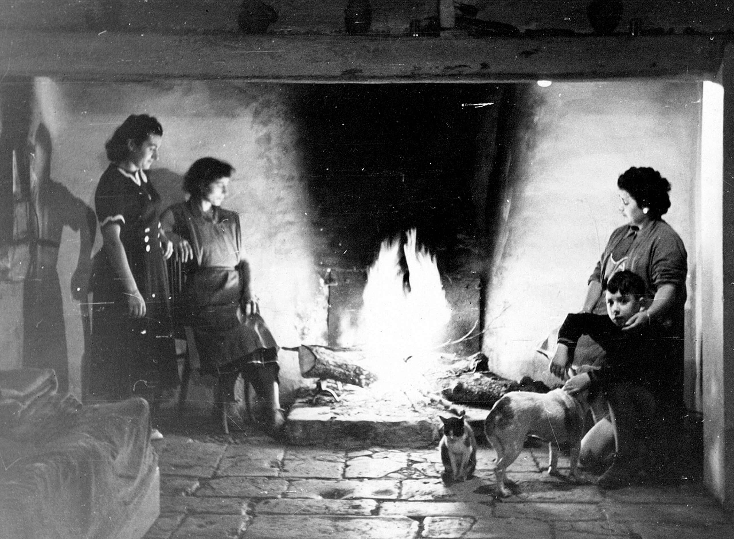 Llar. Festival Lluèrnia